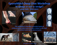 EponaMind Deep-Dive Workshop - ONE DAY ONLY