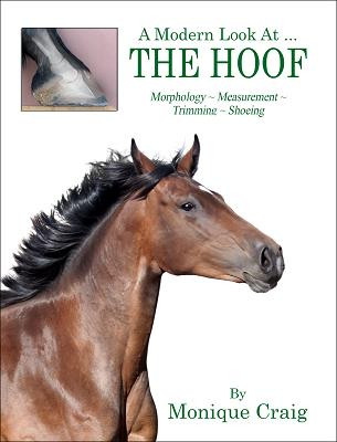 "A Modern Look at... The Hoof" by Monique Craig