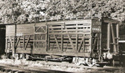Prototype photo 5652D, version 3, D for Double Deck.
Photo from MRGS collection.