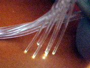.030 (30 mil) fiber optic, 6 pieces.