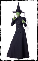 Adult Deluxe Quality Gothic Classic Wicked Witch Wizard of Oz Halloween Costume