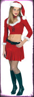 Santa Ms Sexy Mrs Claus Dress w/ Accessories Halloween Christmas Santa Costume