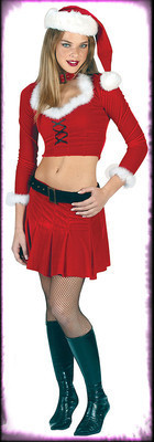 Santa Ms Sexy Mrs Claus Dress w/ Accessories Halloween Christmas Santa  Costume - The Holiday Store