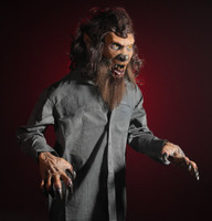 6' Tall Life Size Werewolf Wolfman Monster Legend Halloween Prop