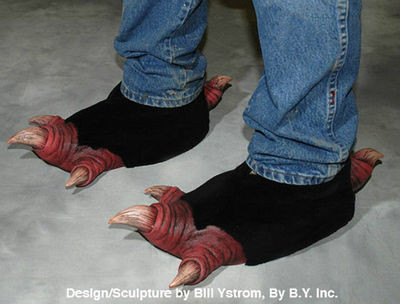 bird feet shoe covers