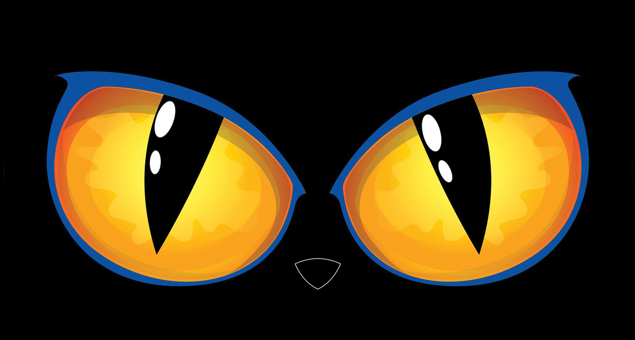 21 x 11 animated