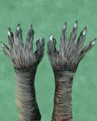helstons wolf gloves