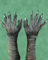Killer Wolf Werewolf Grey Black Gloves Monster Arms Hands Halloween Costume Accessories