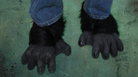 Gorilla Black Chimp Monkey Ape Shoe Covers Halloween Costume Feet Accessories Shoe Covers