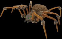 Giant 53" leg span Brown Wolf Spider Poseable Legs Light up Eyes Halloween Prop Decoration