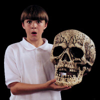 Larger than Life Giant 13" Skull Halloween Prop Decoration