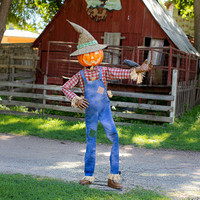 6' Life Size Animated Whimsical Scarecrow Pumpkin Jack-O-Lantern Halloween Prop