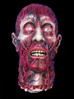 Life Size Severed cut off Skinned Head Gore Halloween Prop Decoration