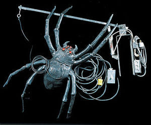 huge halloween spider