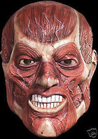 Skinner Skinless Corpse Zombie Halloween Mask Costume