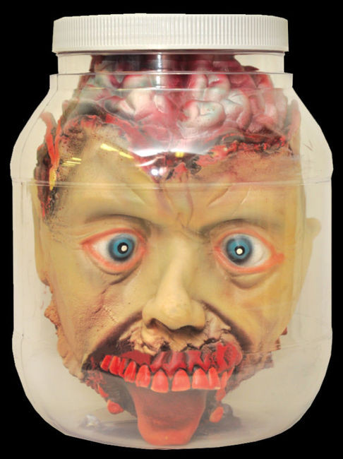 Life Size Severed Head in Jar Halloween Laboratory Prop Decoration ...