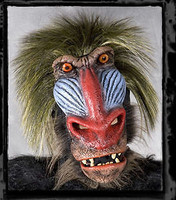 Extremely Realistic Baboon Ape Moving Mouth Halloween Mask Costume