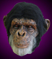 Extreme Realistic Chimp Monkey Ape Chimpanzee Primate Halloween Costume Mask