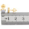 Image 10 Image 10