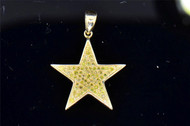 Yellow Diamond Star Pendant Ladies 10K Yellow Gold .30 CT. Nature Charm