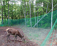 vinyl coated deer fence