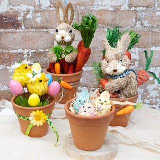 EasterTown Instagram - Easter, Carrots and Bunnies