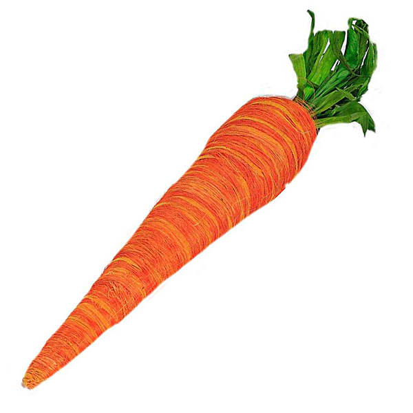 Giant Carrot 68cm