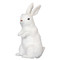 Bunny our Lifelike White Rabbit