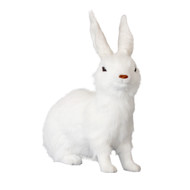 Miffy our Lifelike White Rabbit