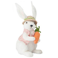 Spring Bunny Boy with Carrot