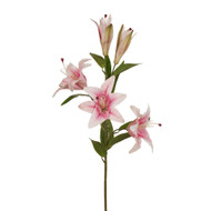 Pink Casablanca Lily