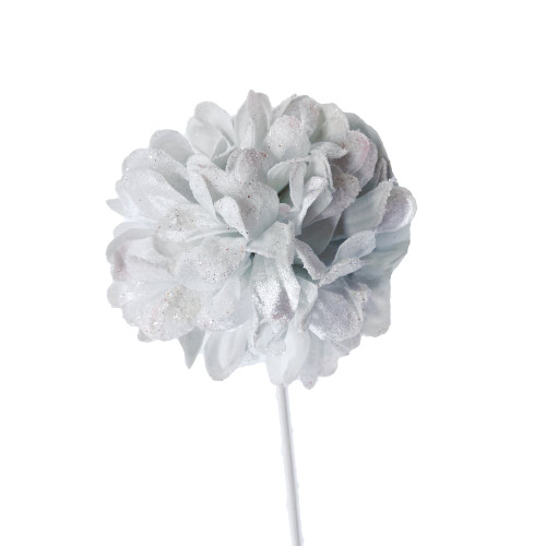 White Frosted Chrysanthemum Flower 