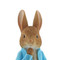 Beatrix Potter Peter Rabbit Decor