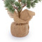 Cedar Pine Burlap Wrapped Real Touch Green