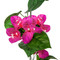 Bougainvillea Garland Hot Pink 
