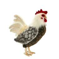 Cream Brown Rooster 
