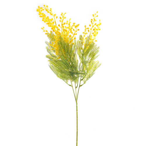 Yellow Green Mimosa Spray