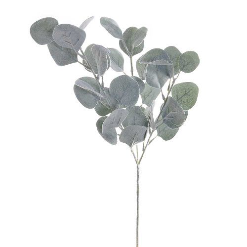 Green Grey Dusty Money Leaf Spray 