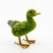 Green Moss  Woodland Duck 