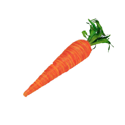 Giant Easter Orange Carrot 