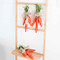 Designer Country-Style Orange Carrots Easter Accent