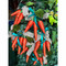 Natural Fiber Hanging Carrots Drop Decoration