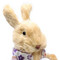 Festive Easter Bunny Rabbit