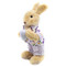 Male Easter Bunny Rabbit Purple 