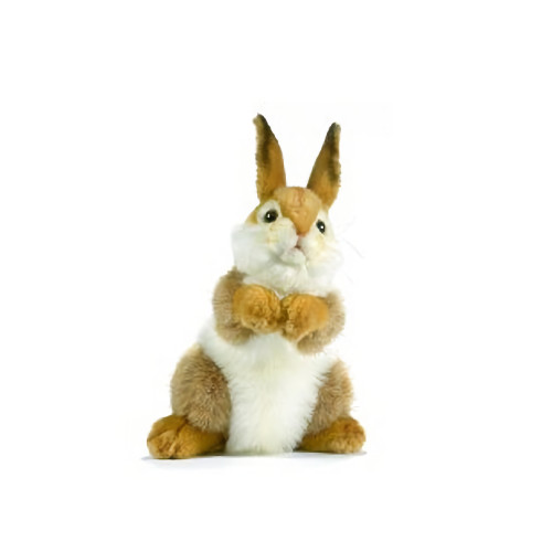 Easter Bunny Rabbit Decor