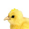 Yellow Baby Easter Chick Decor
