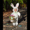 Ralphie the White Bunny Elf 