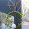  Wood Bead Bunny Wreath Decor