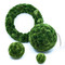 Decorative Green Moss In Different Sizes