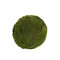 Artificial Moss Ball Green